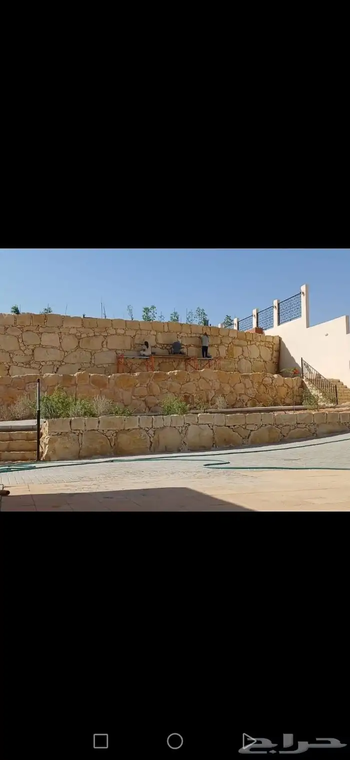 الرياض 8