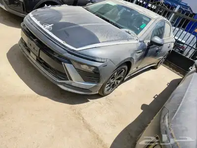 سوناتا فليت 1