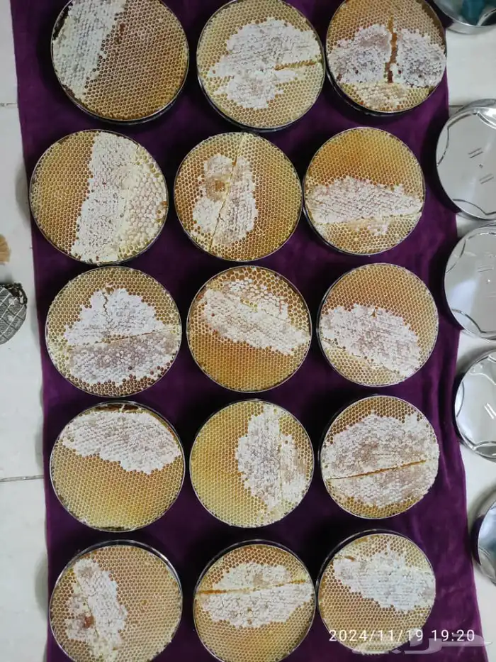 عسل سدر اقراص يمني رقم. 2