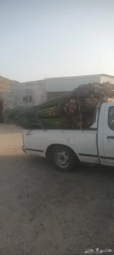 يوجد لدينا جميع انواع انخيل 7