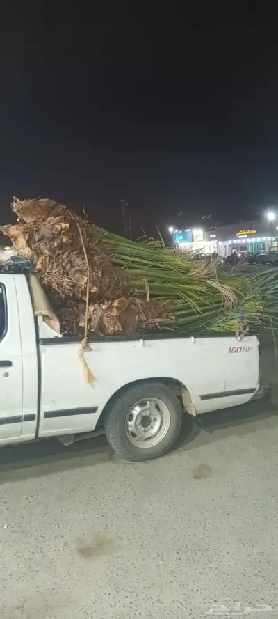يوجد لدينا جميع انواع انخيل 9