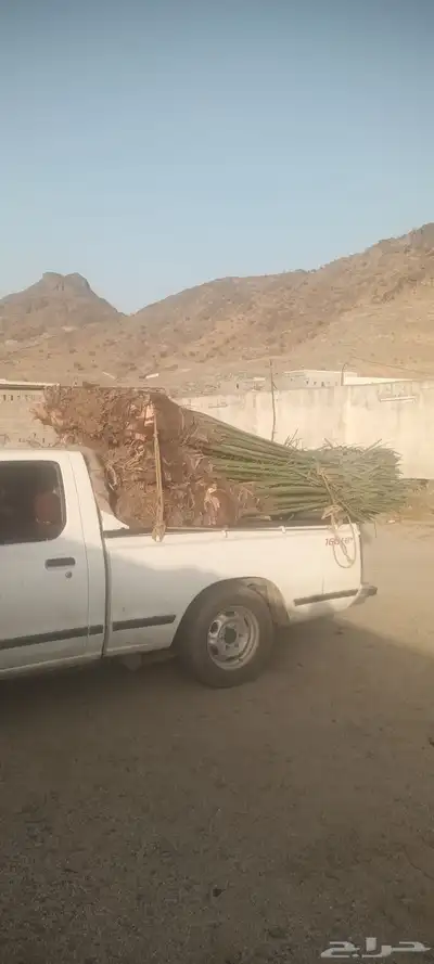 يوجد لدينا جميع انواع انخيل 8