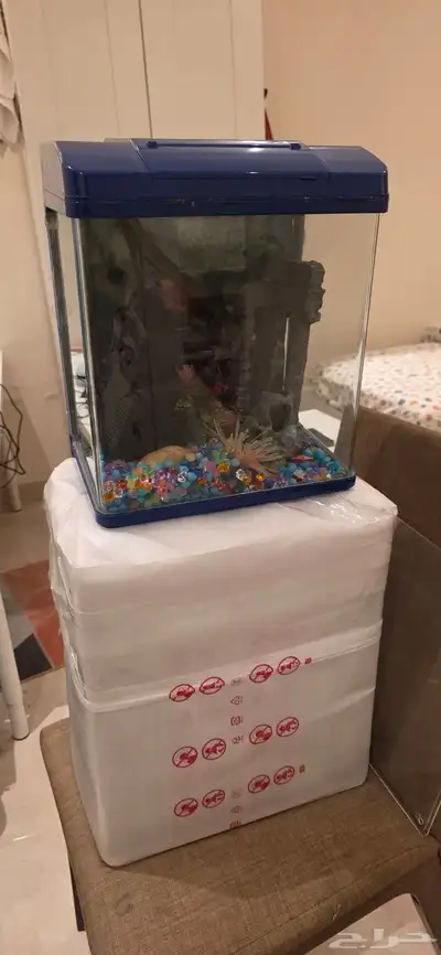 حوض سمك 2