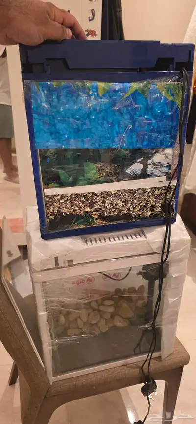 حوض سمك 1