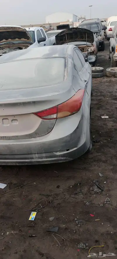 النتراء 2014 بصمه 1
