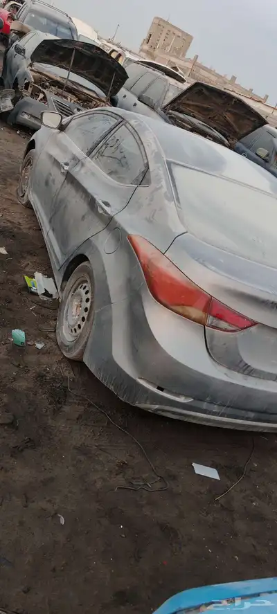 النتراء 2014 بصمه 2