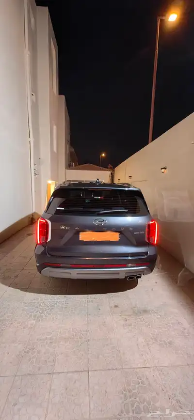 باليسيد 2023 1