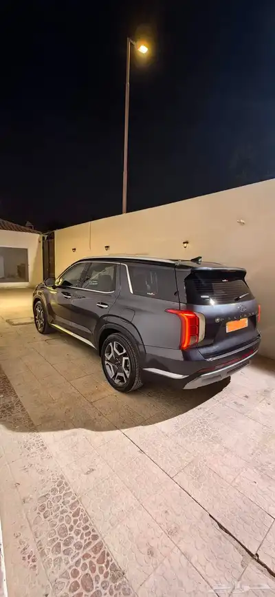 باليسيد 2023 2
