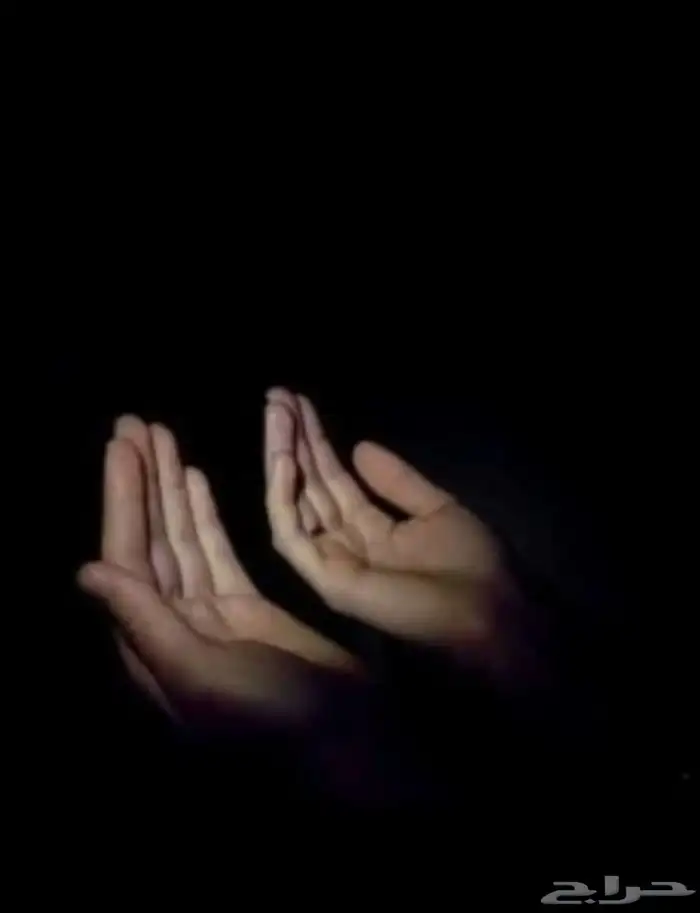 سلام عليكم يا احوان معاي سايق حاص اي احد احتاج سواق بيت سوي 0