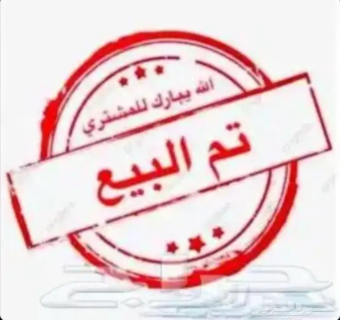 دجاج عربي للبيع (تم البيع ) 0