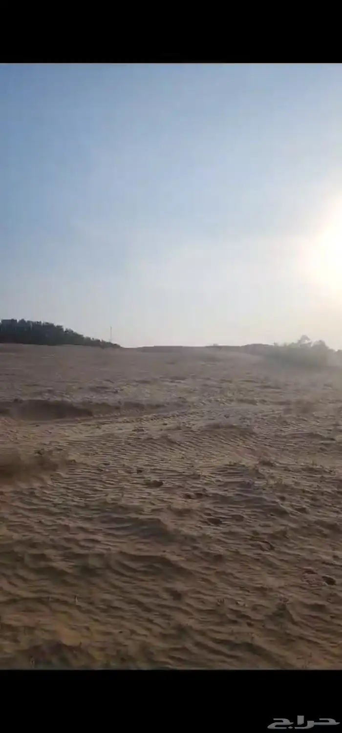 قطعتين زراعيتين متجاورتين سعيد الصوالحه قرية الحصيان بصك 8