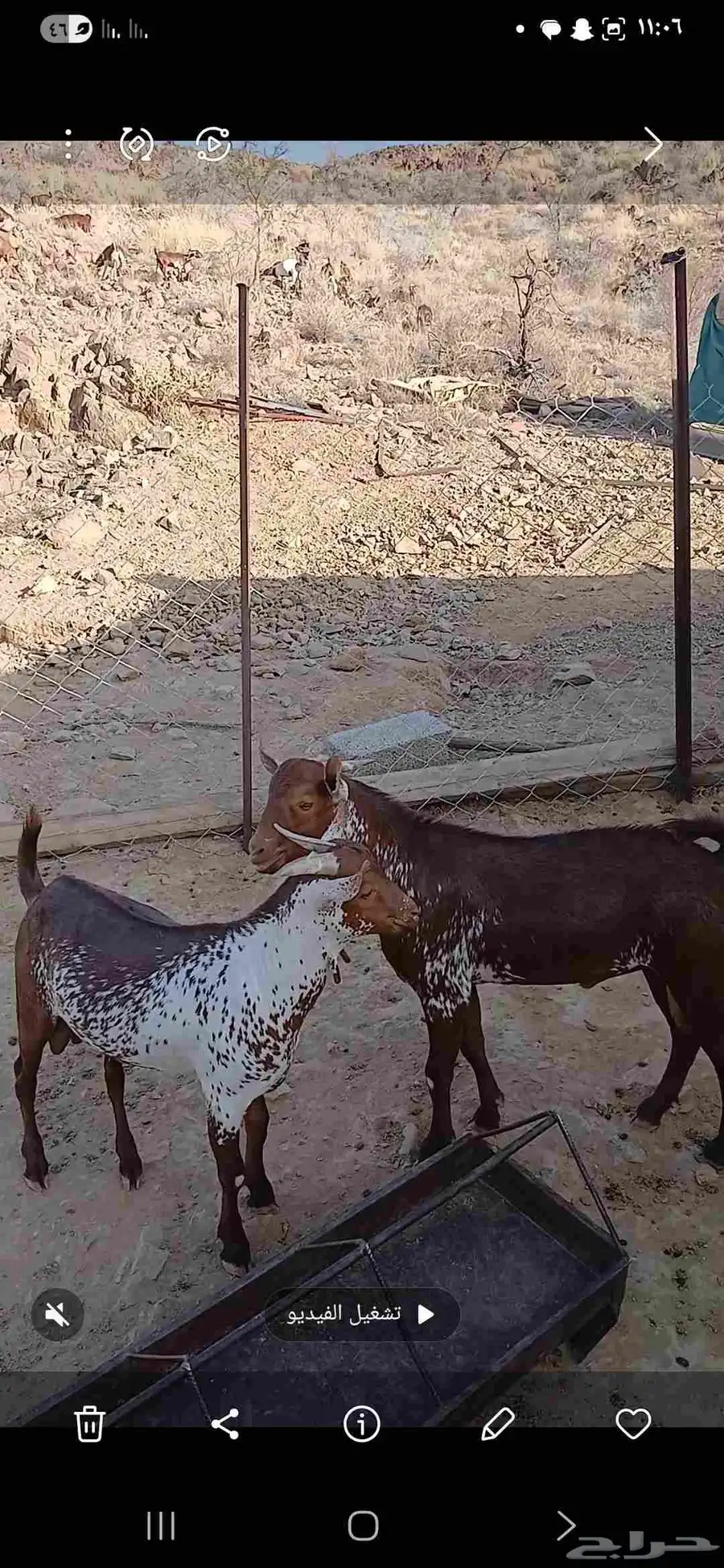 الطائف 0