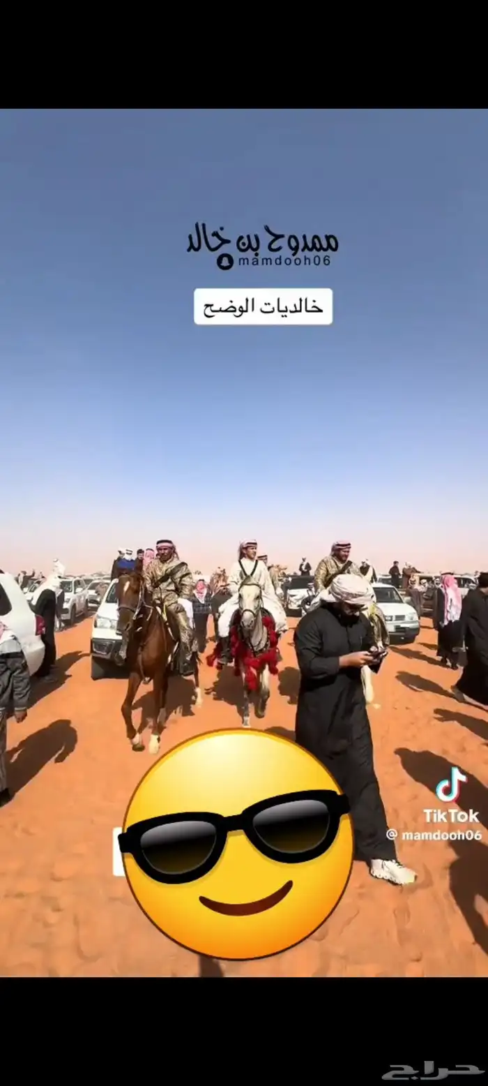 تأجير الخيول والسياسى والجمال وعربات الحنطور والسندريلا 5