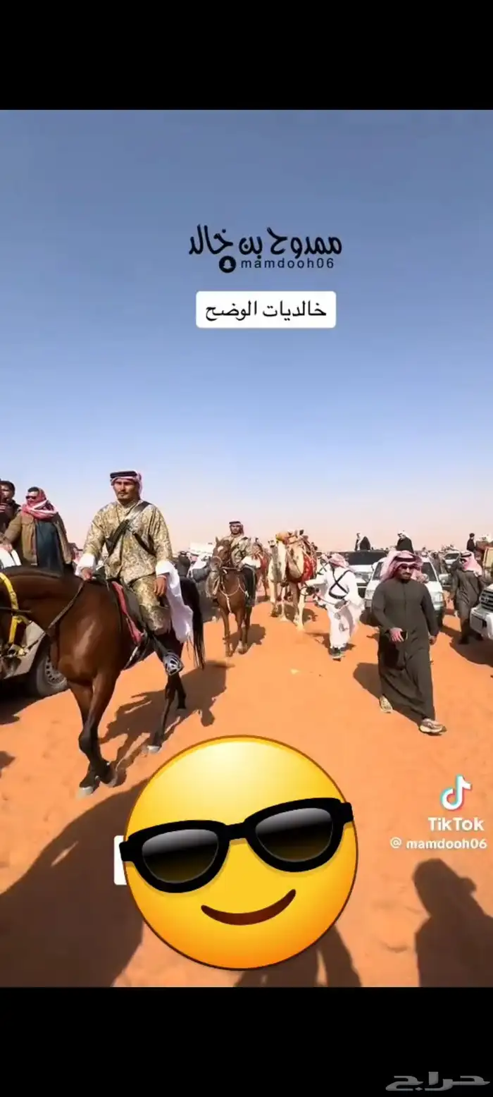 تأجير الخيول والسياسى والجمال وعربات الحنطور والسندريلا 7