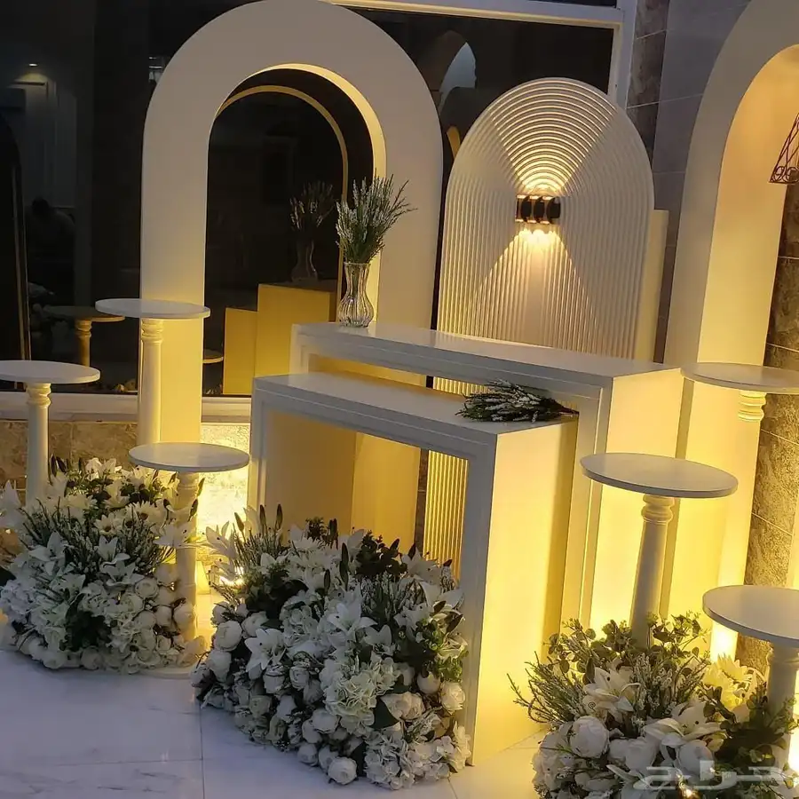 منسق حفلات 5