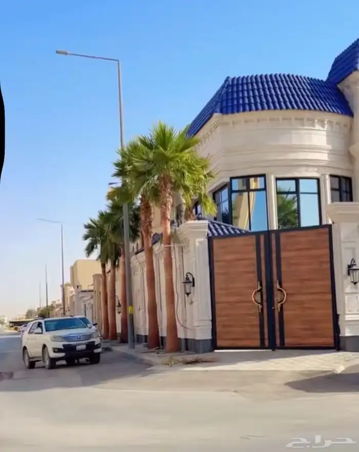 نخل امريكي ابومروحه 1