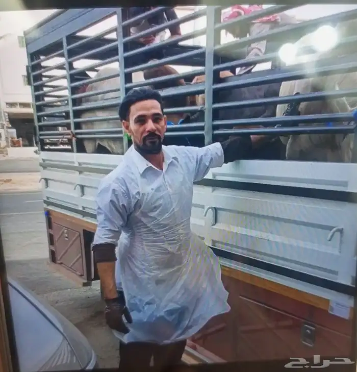 محمد رفعت.. الجنسيه مصري.. المهنه جزار.. ملاحم.. خبره متفوقه 0