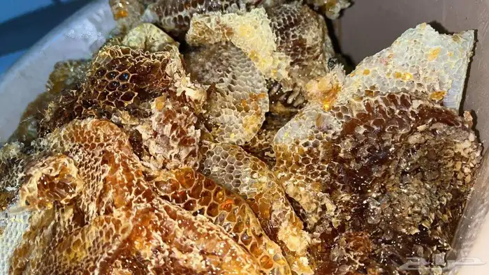 عسل سمره مشروط ذمه وامانه واذا اختلف ترجع فلوسك 0