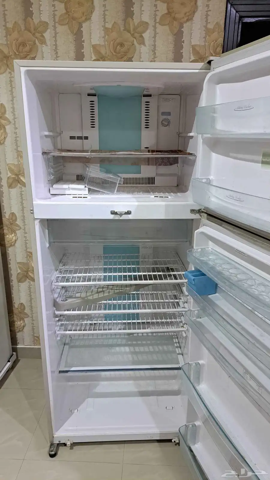 البديعة 2