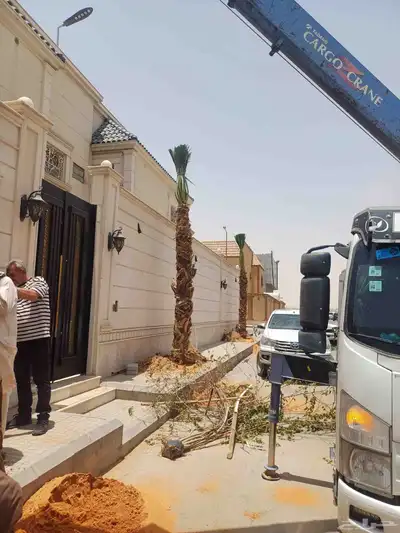 واشنطني امريكي زينه جميع المقاسات 2
