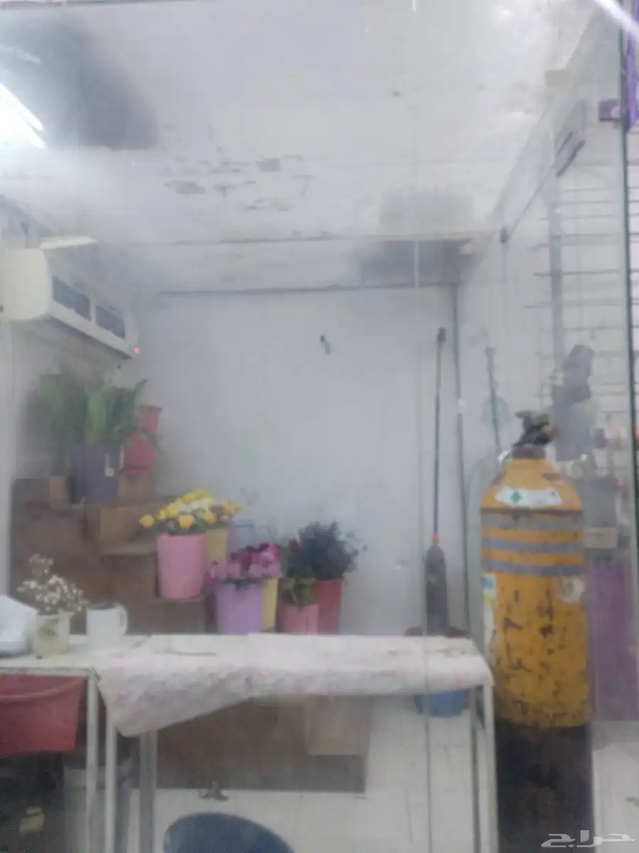 ثلاجة ورد قزاز للبيع 0