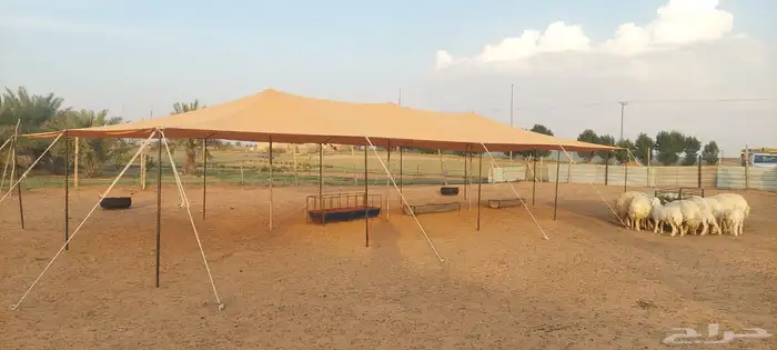 مضلات جميع الأنواع 8