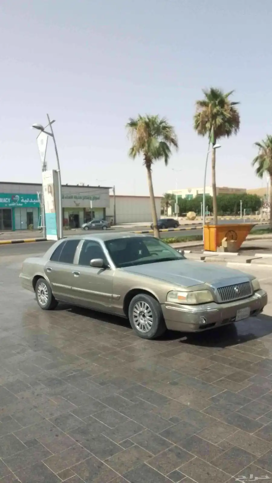 فرد مركيز 2006 11