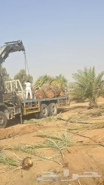 يوجد لدينا جميع أنواع اتخيل وجمع المقست المختلفهه 0