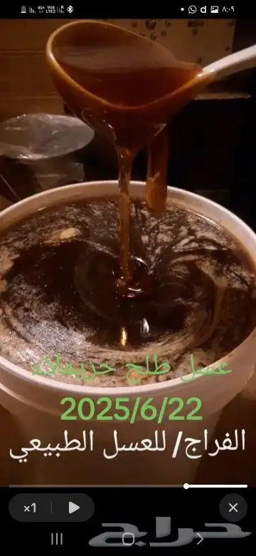 عسل طلح حريملاء 2025 1