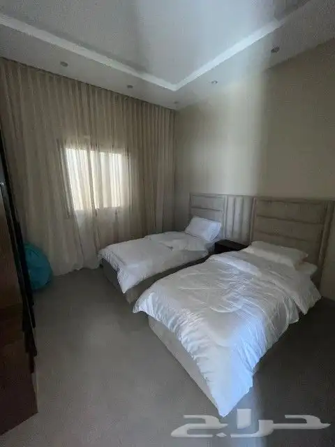 زاهية 7