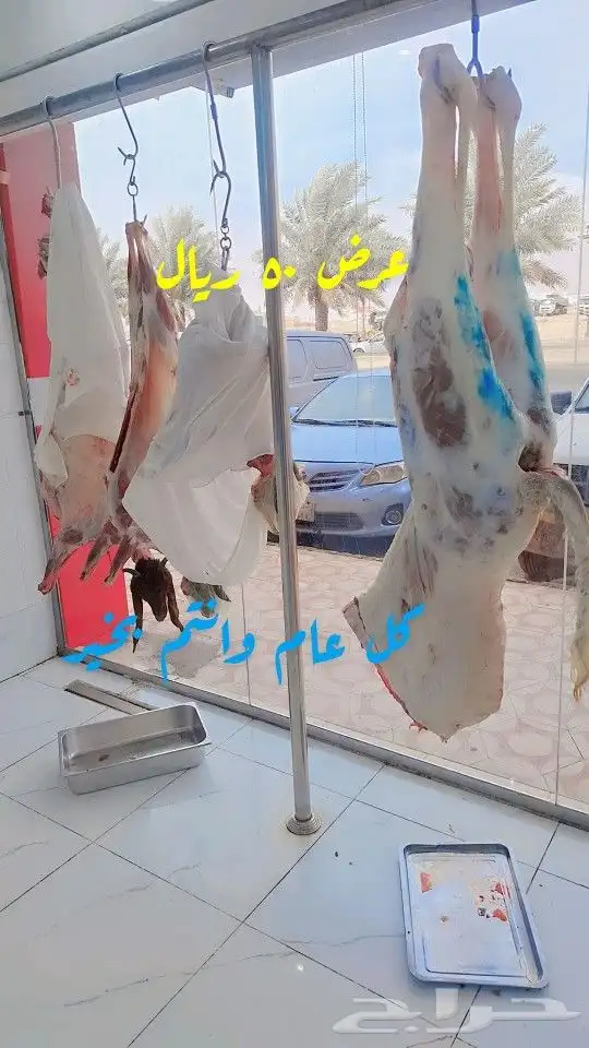 عرضحاشى لبانى 49 ريال غنم 65 ريال 3