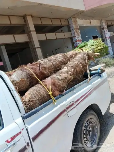 يوجد لدينا جميع أنواع اتخيل وجمع المقست المختلفهه 1