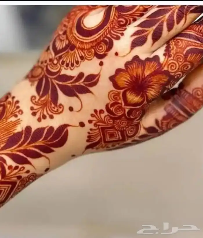 نقاشه ام أروى الرياض العرايس والعادي 3