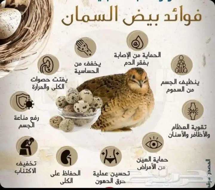 بيض سمان لل بيع .تم بيع اسمان 0