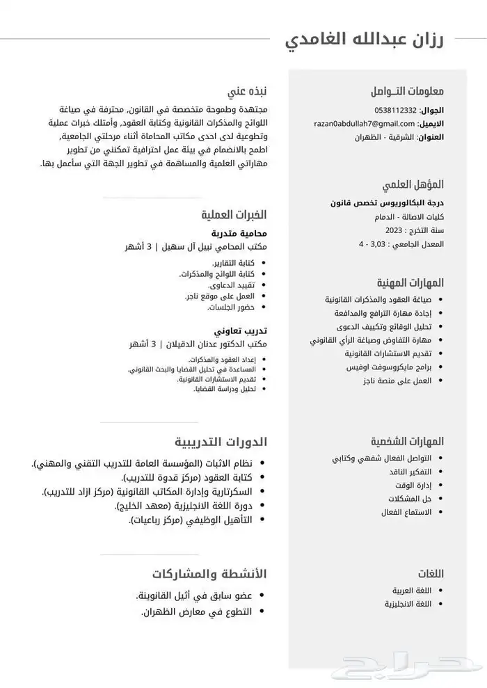 تصميم سي في احترافي سعر رمزي جدا 8