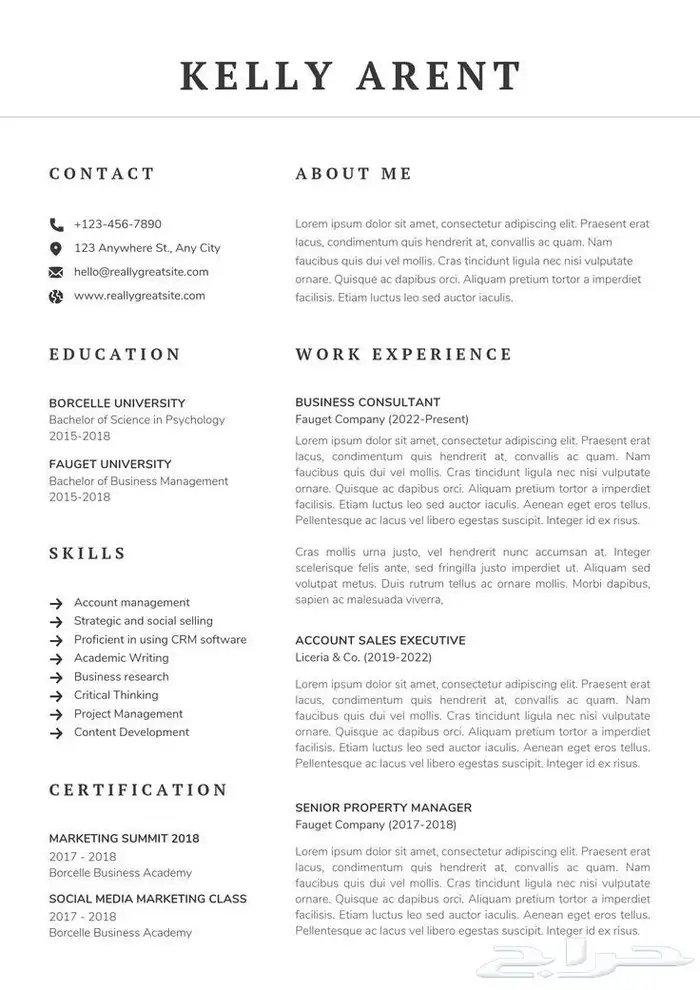 تصميم سي في احترافي سعر رمزي جدا 6