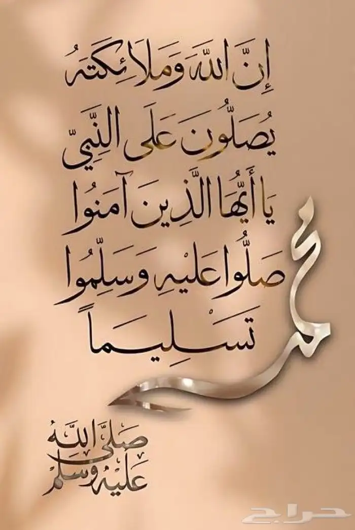 نخل امريكي ابومروحه 6