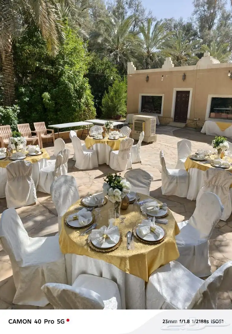 منسق حفلات 5