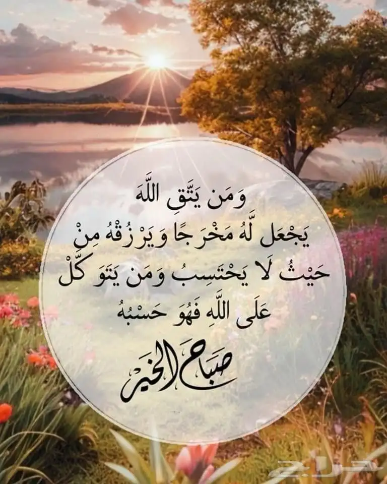 ابي مشروع ناجح 0