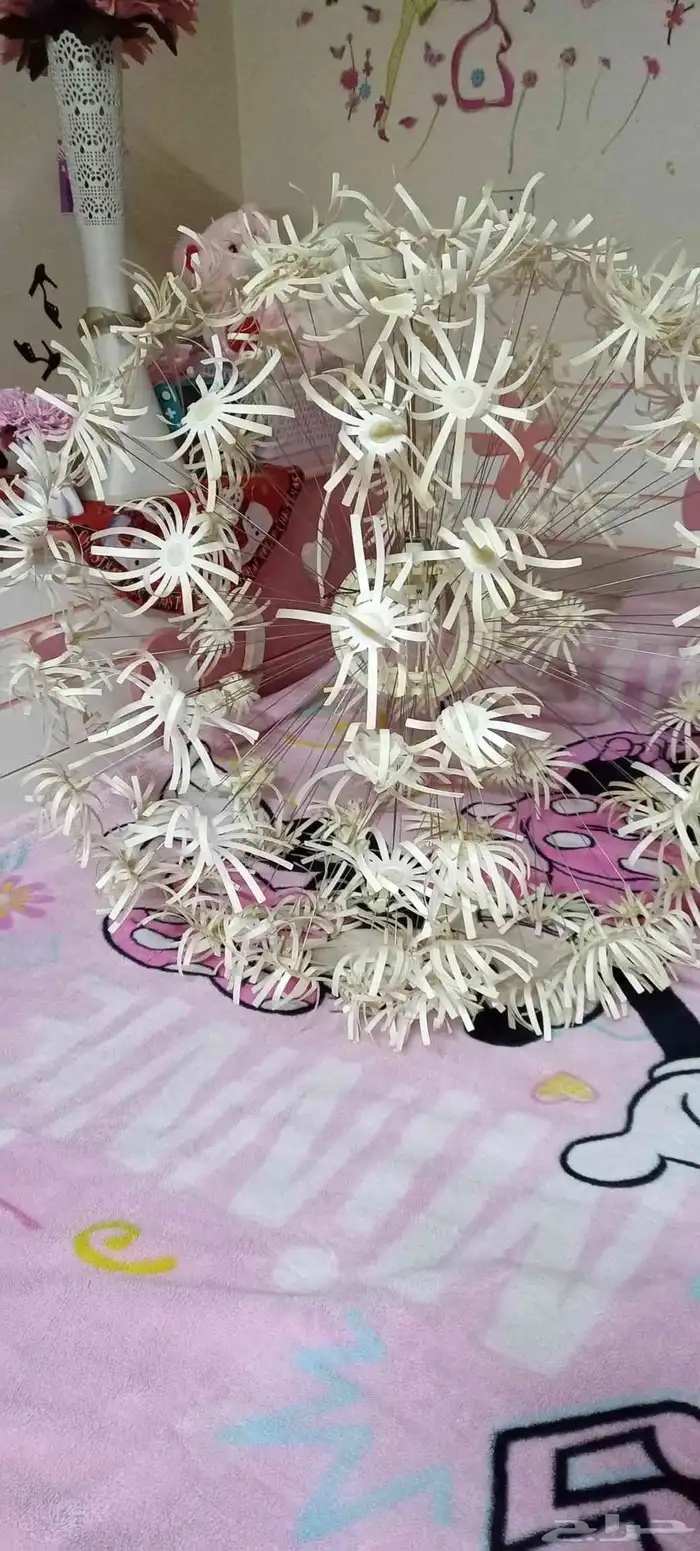 نجفه للبيع 1