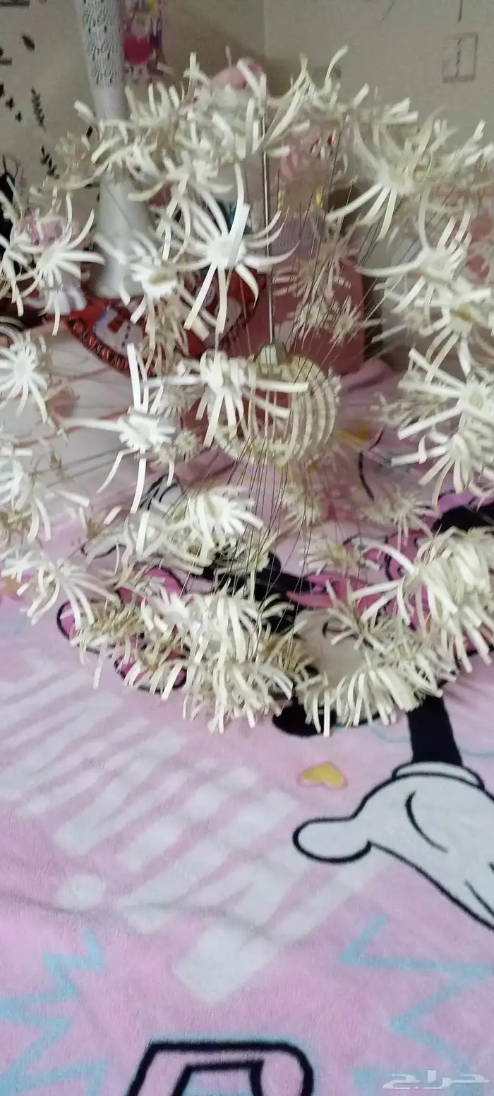 نجفه للبيع 0