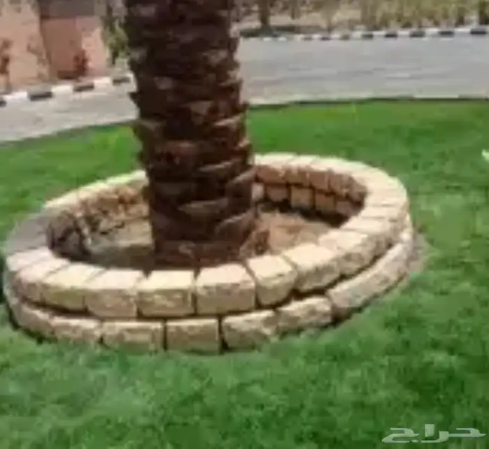 مقوال حجر 5