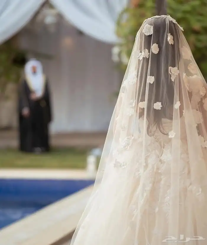 زفات وشيلات حسب الطلب وباقل الاسعار اطلب زفتك الان 3
