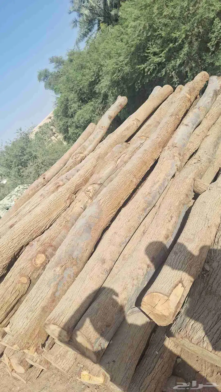 يوجد لدينا خشب اثل ونشتغل بيوت الطين وتركيب الشبوك المجلفنه 8