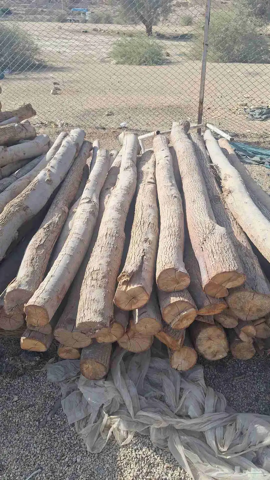 يوجد لدينا خشب اثل ونشتغل بيوت الطين وتركيب الشبوك المجلفنه 7