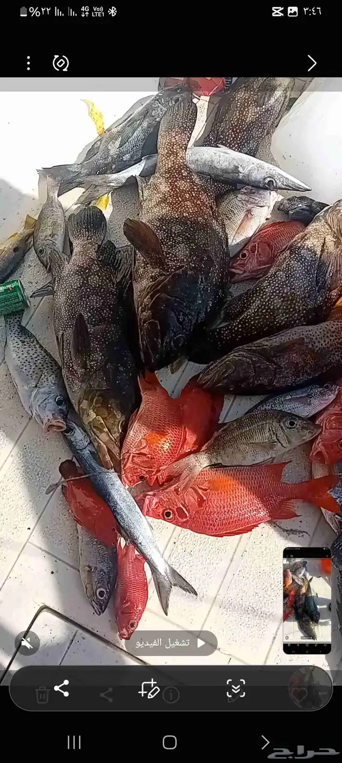 السلام عليكم ورحمه الله وبركاته معاكم الكابتن اسامه . اسم 0