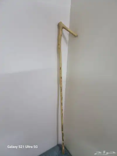 مشعاب للبيع 5