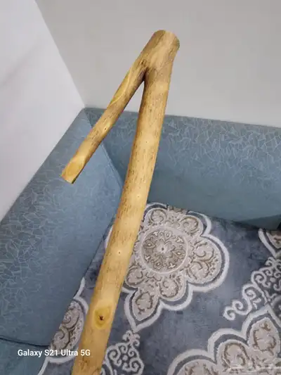 مشعاب شوحط ( تم البيع ) 11