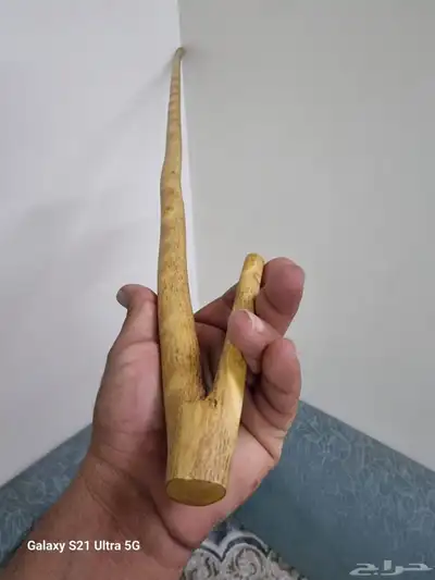 مشعاب شوحط ( تم البيع ) 4