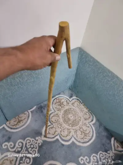 مشعاب شوحط ( تم البيع ) 8